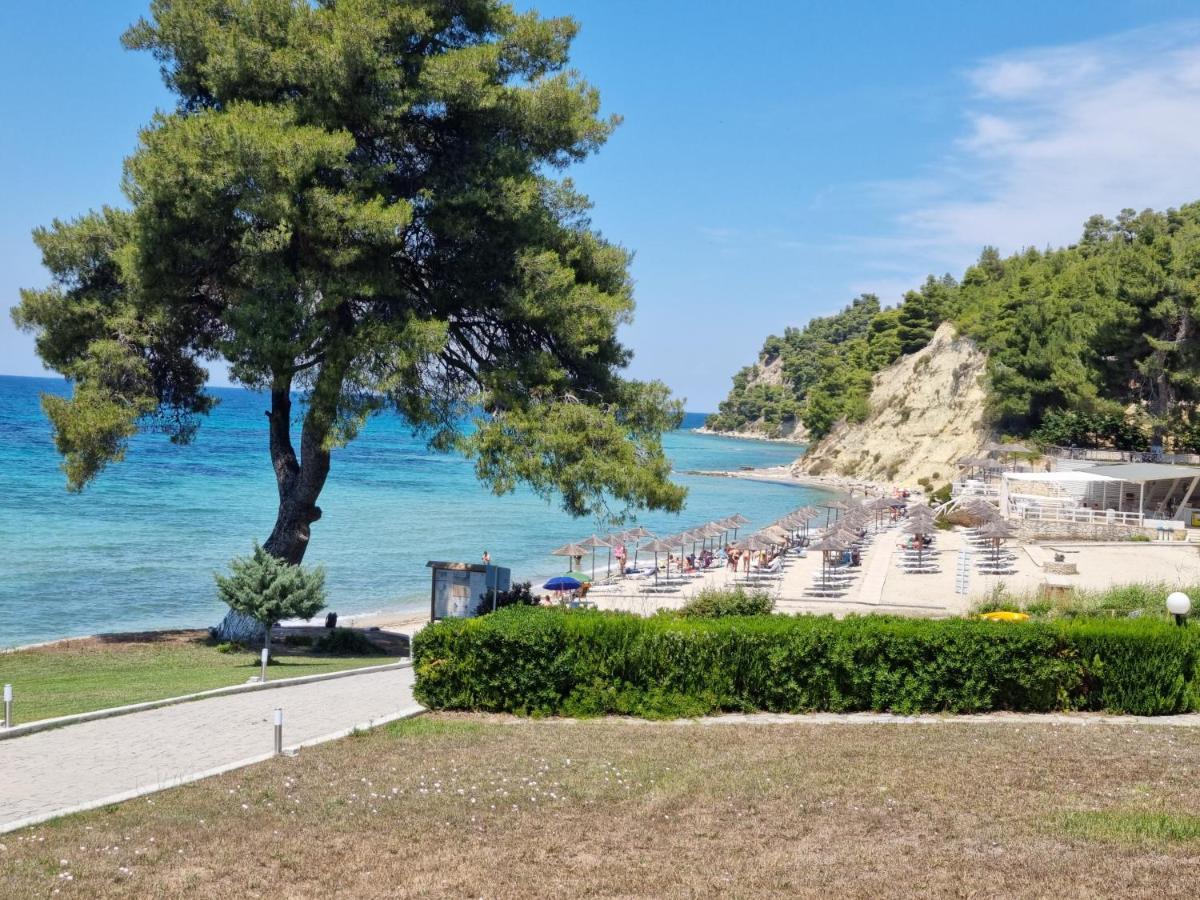 Beachfront Villa 100M From Sea For Up To 10 Guests Siviri Exterior photo